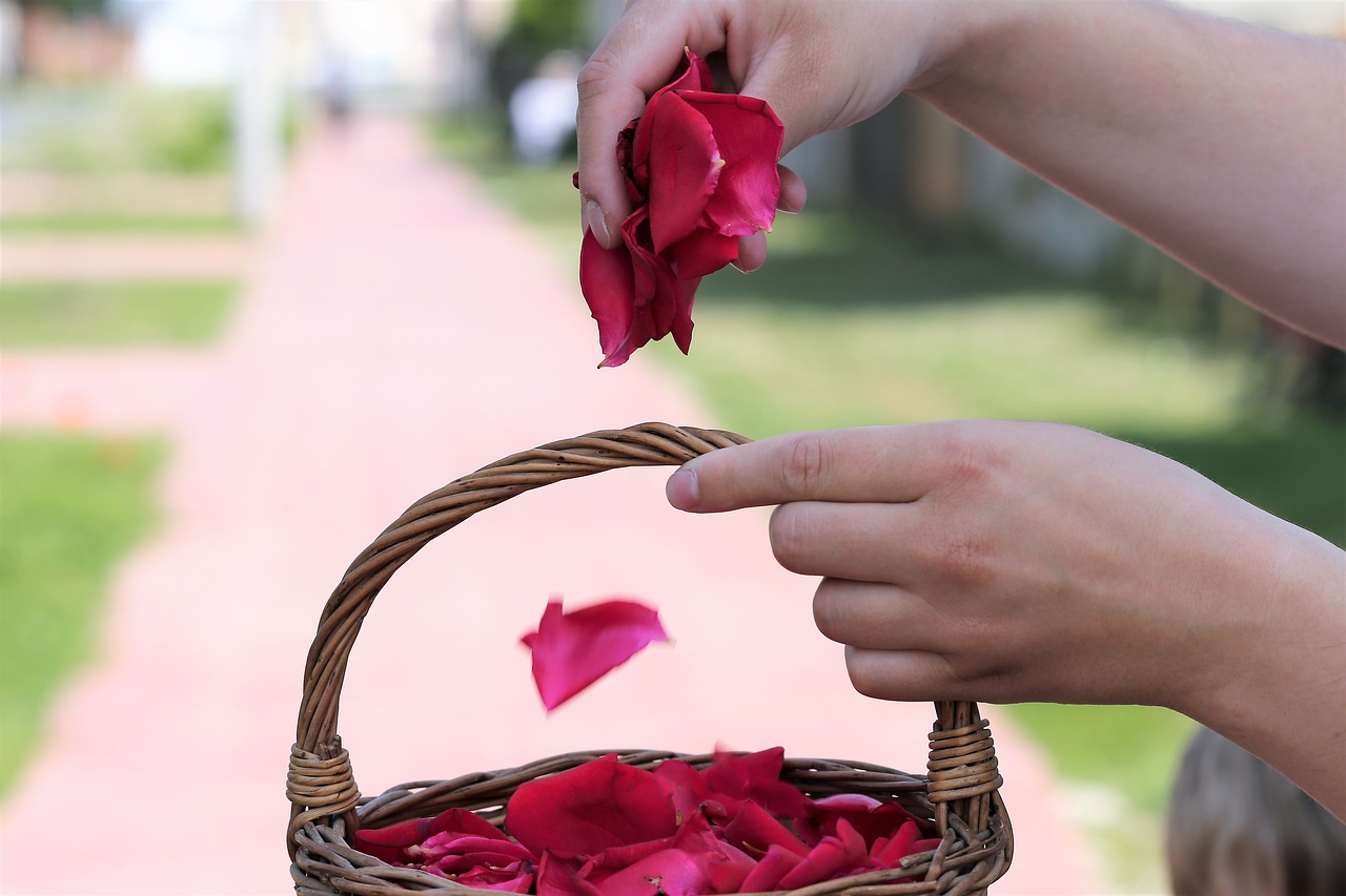 corpus christi feast  basket  girl throw rose petals free photo