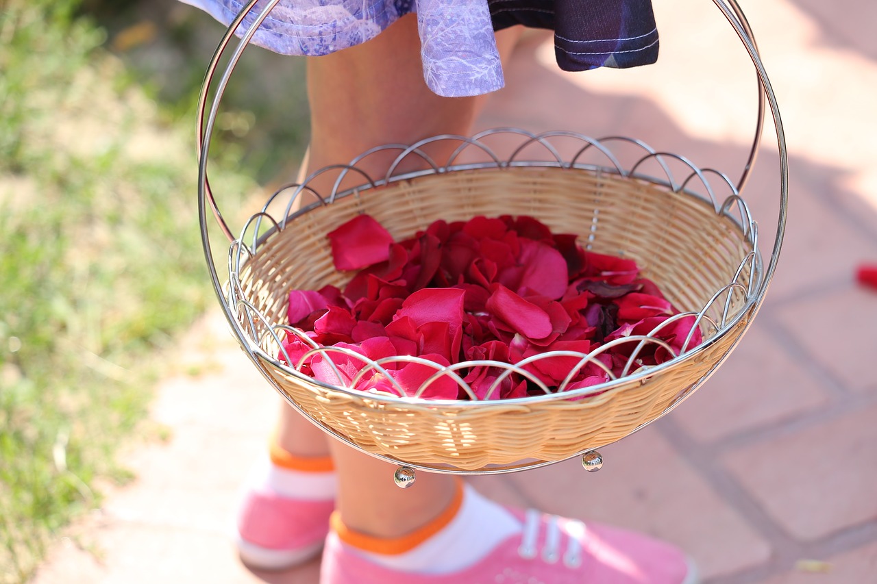 corpus christi feast  girl with red rose petals  procession free photo