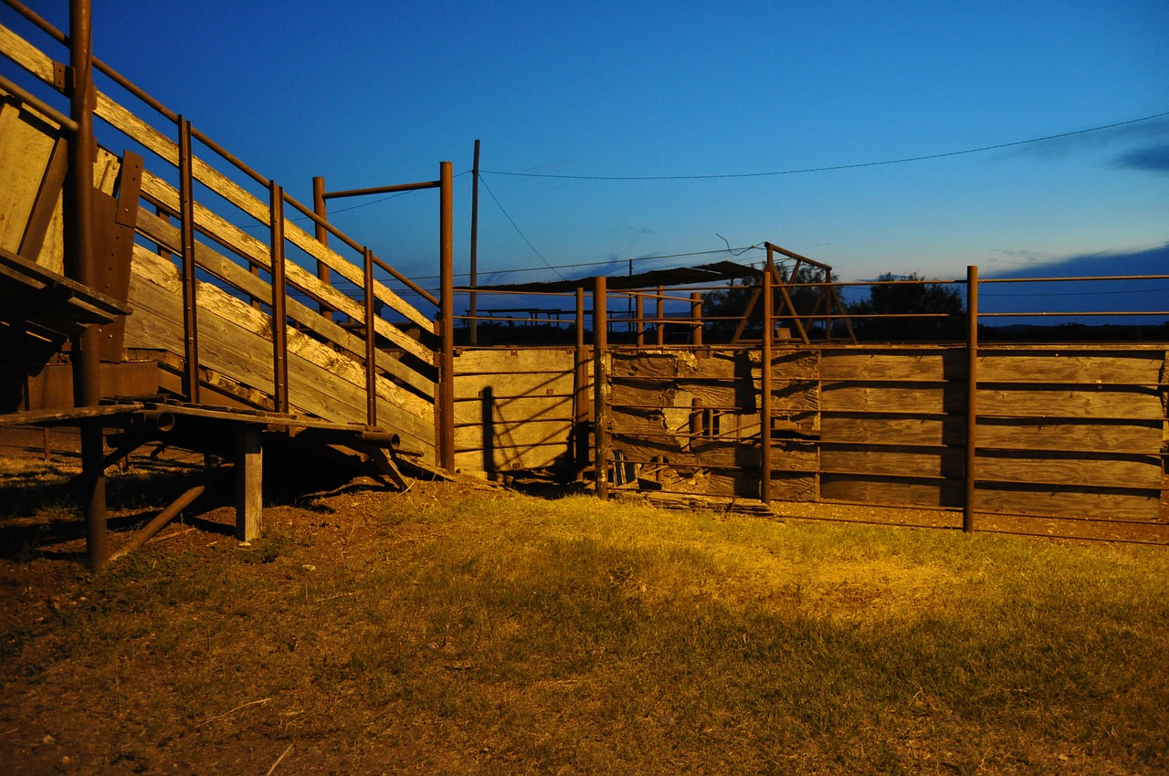 corral evening farm free photo