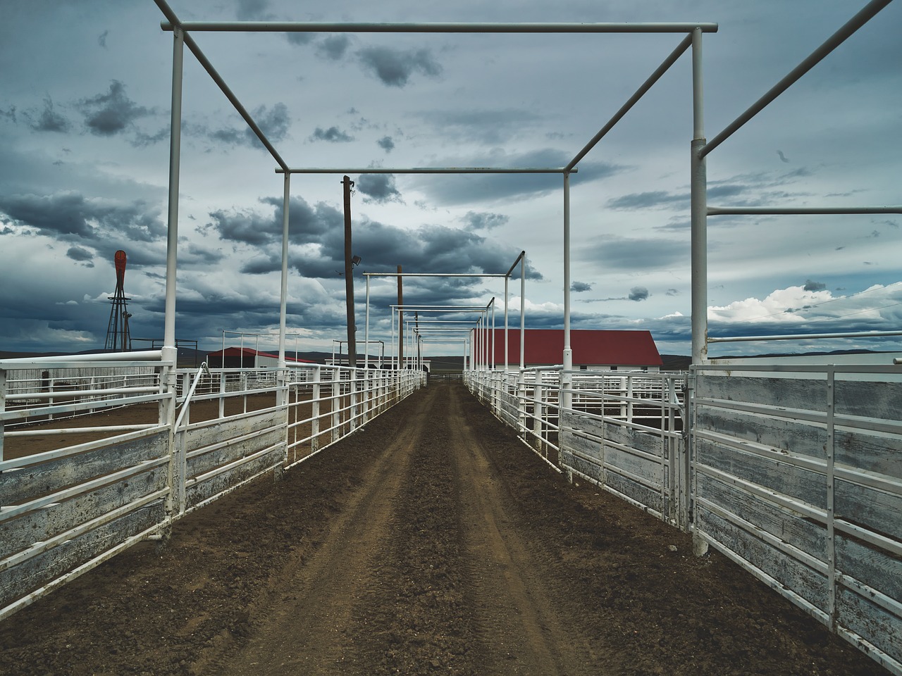 corral  wyoming  america free photo