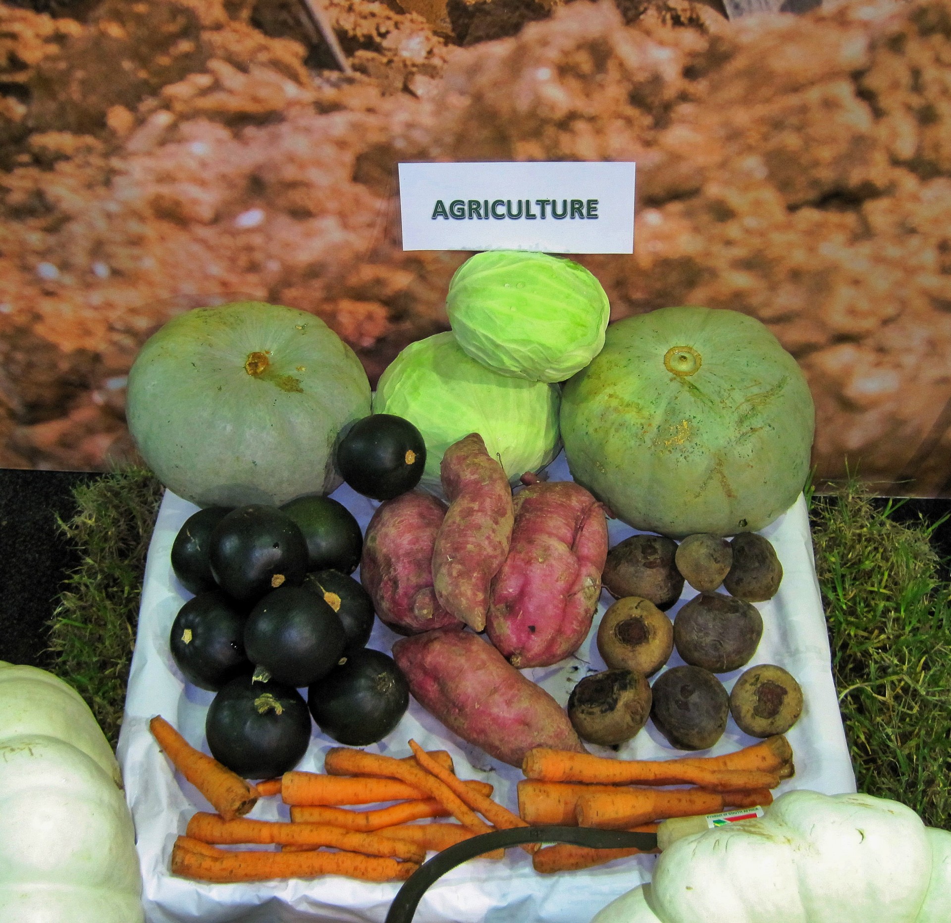 produce vegetables food free photo