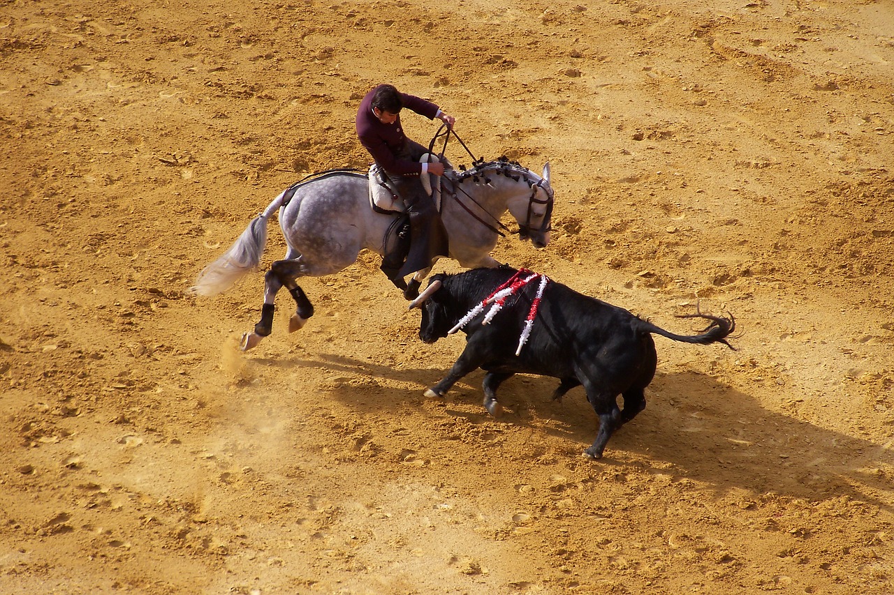 corrida bull spain free photo