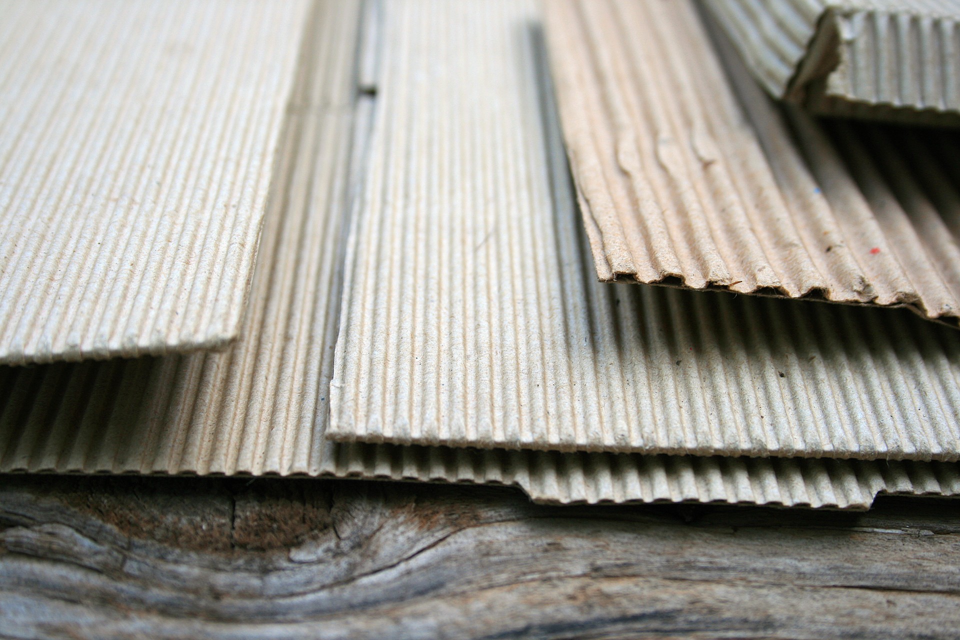 cardboard corrugated assorted free photo