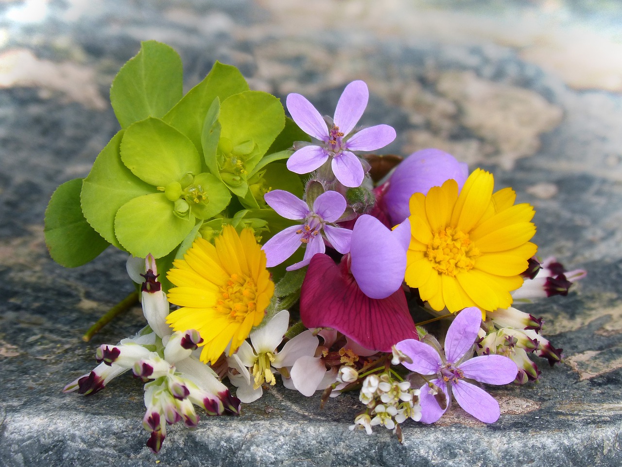 corsage wild flowers small free photo