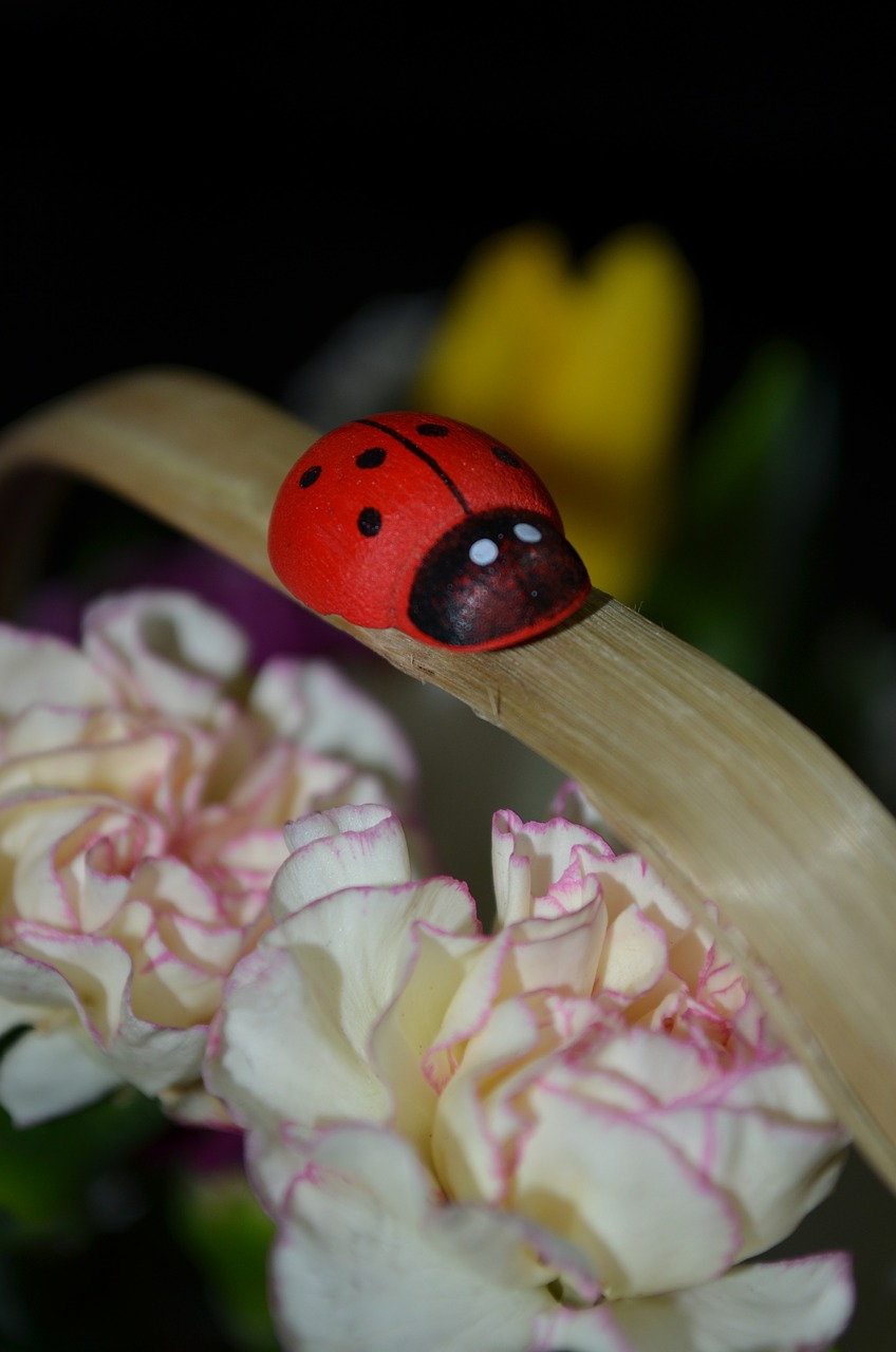corsage basket ladybug free photo