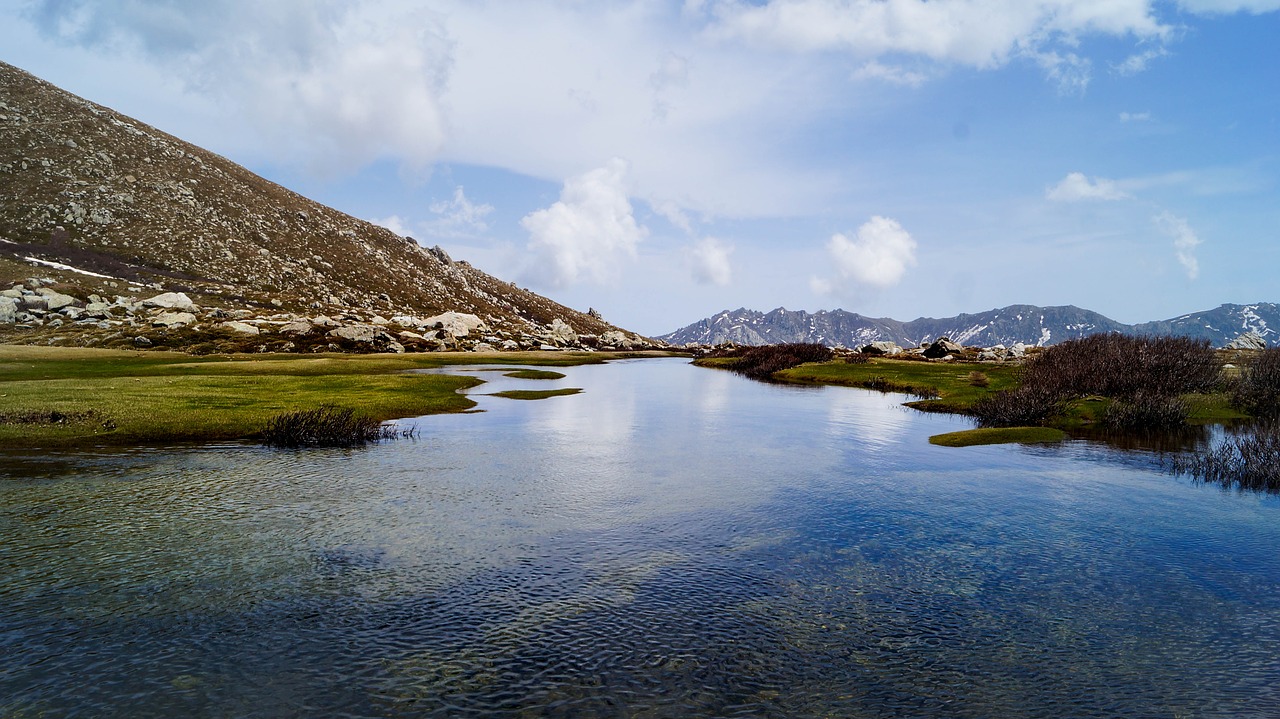 corse  corsica  nature free photo