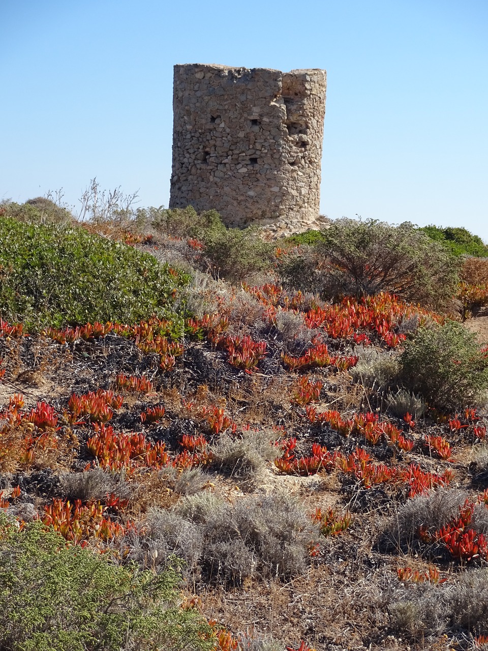 corsica tower meadow free photo