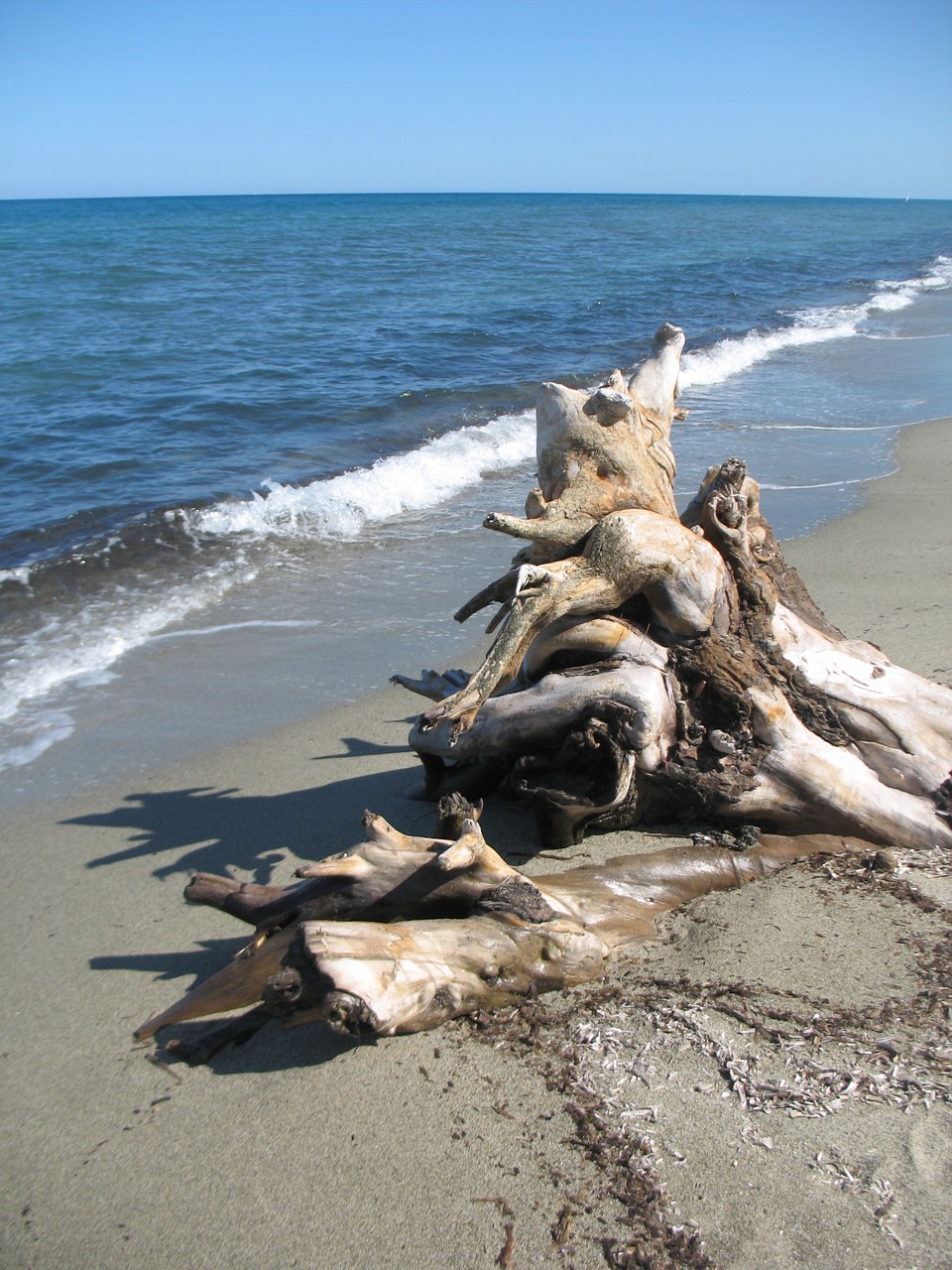 corsica sea beach free photo