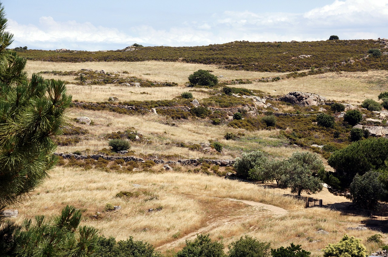 corsica fields sky free photo