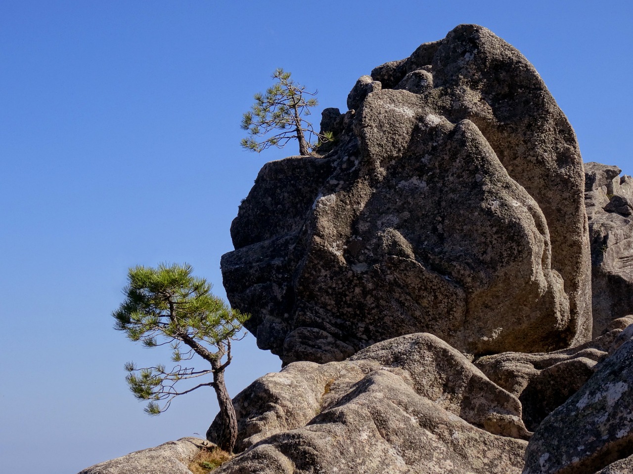 corsican rock nature free photo