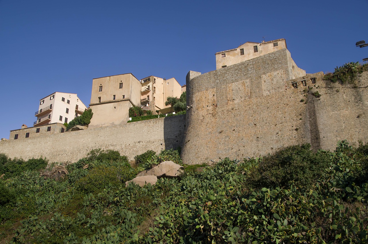 corsican  calvi  fortress free photo