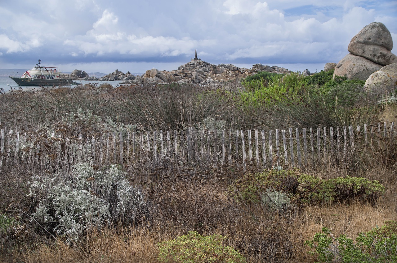 corsican  lavezzi isles  mediterranean free photo