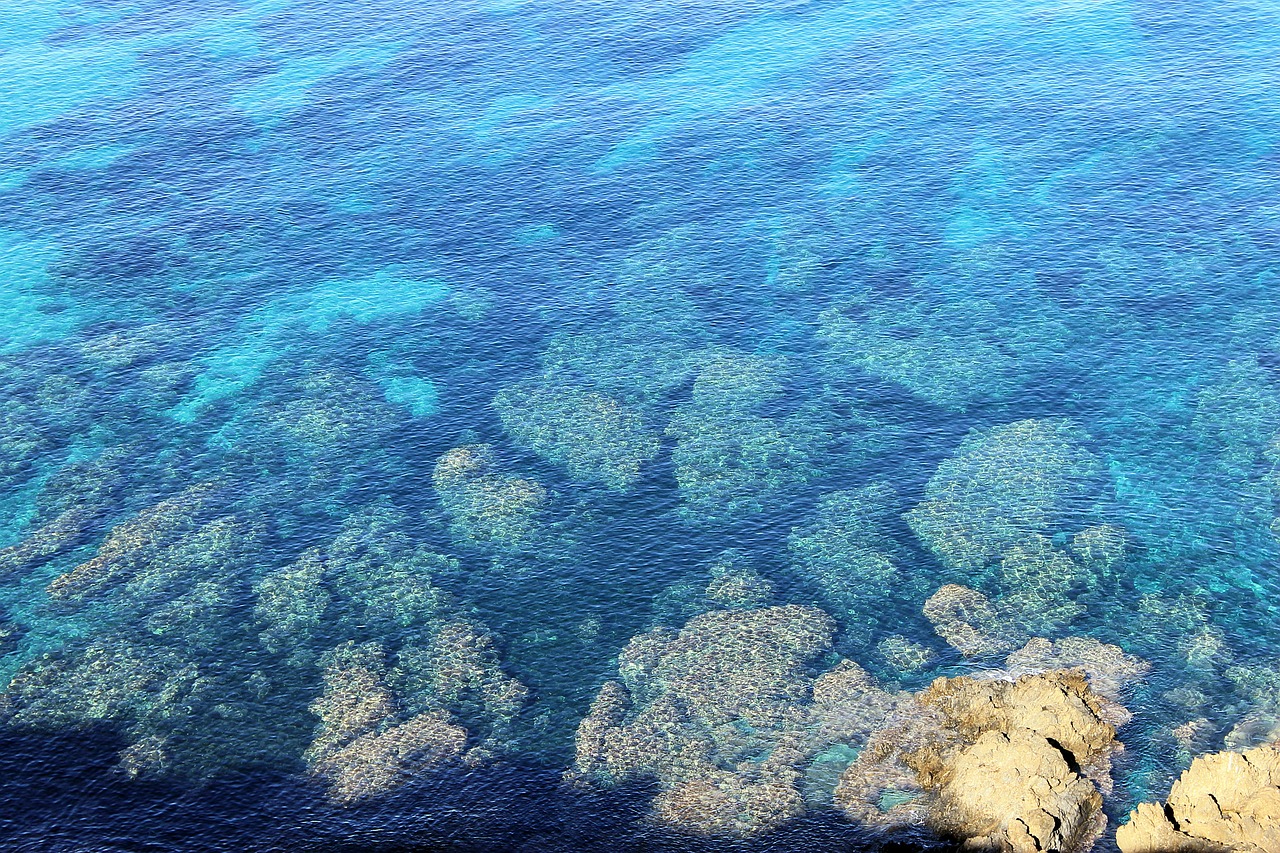 corsican sea water free photo