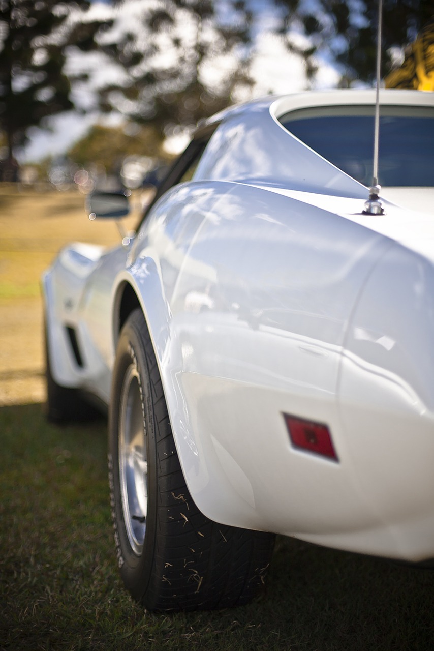 corvette racing car roadster free photo