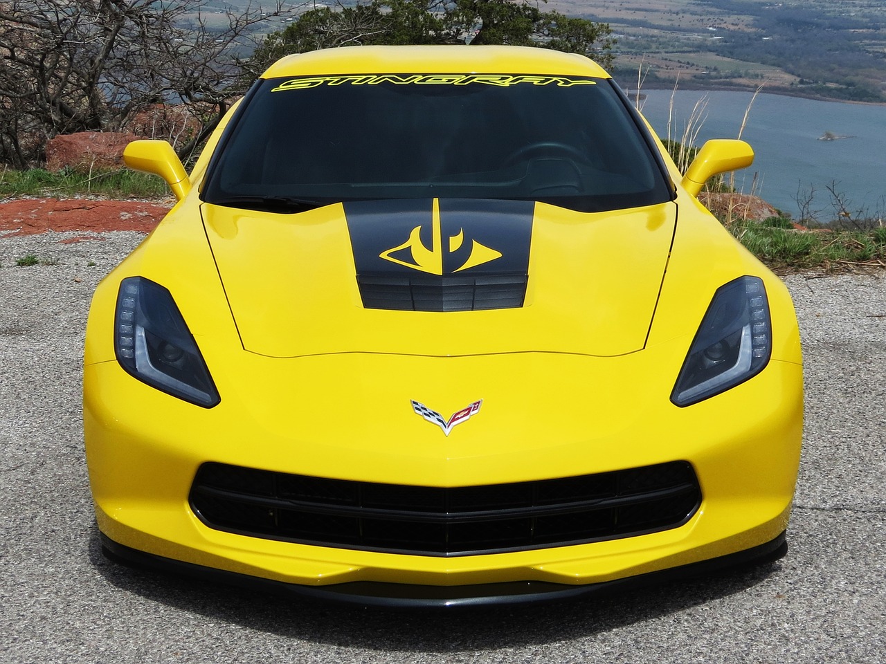 corvette stingray automobile free photo