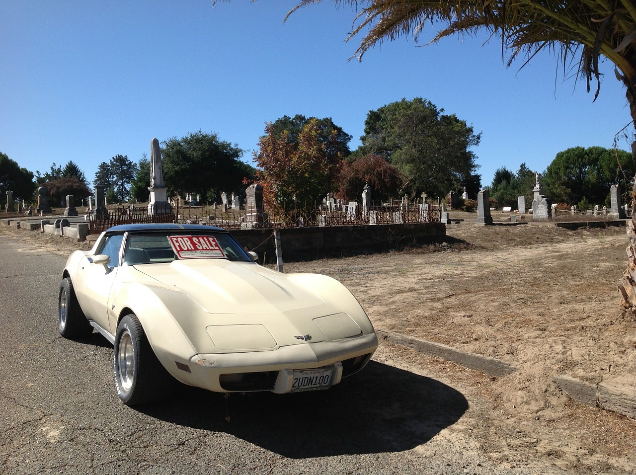 corvette car corvette stingray free photo