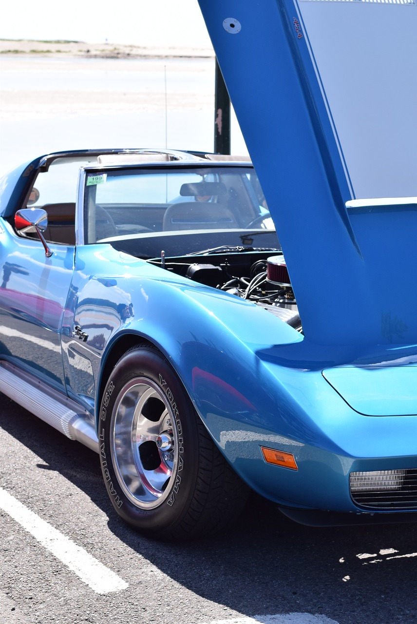 corvette blue car car m free photo