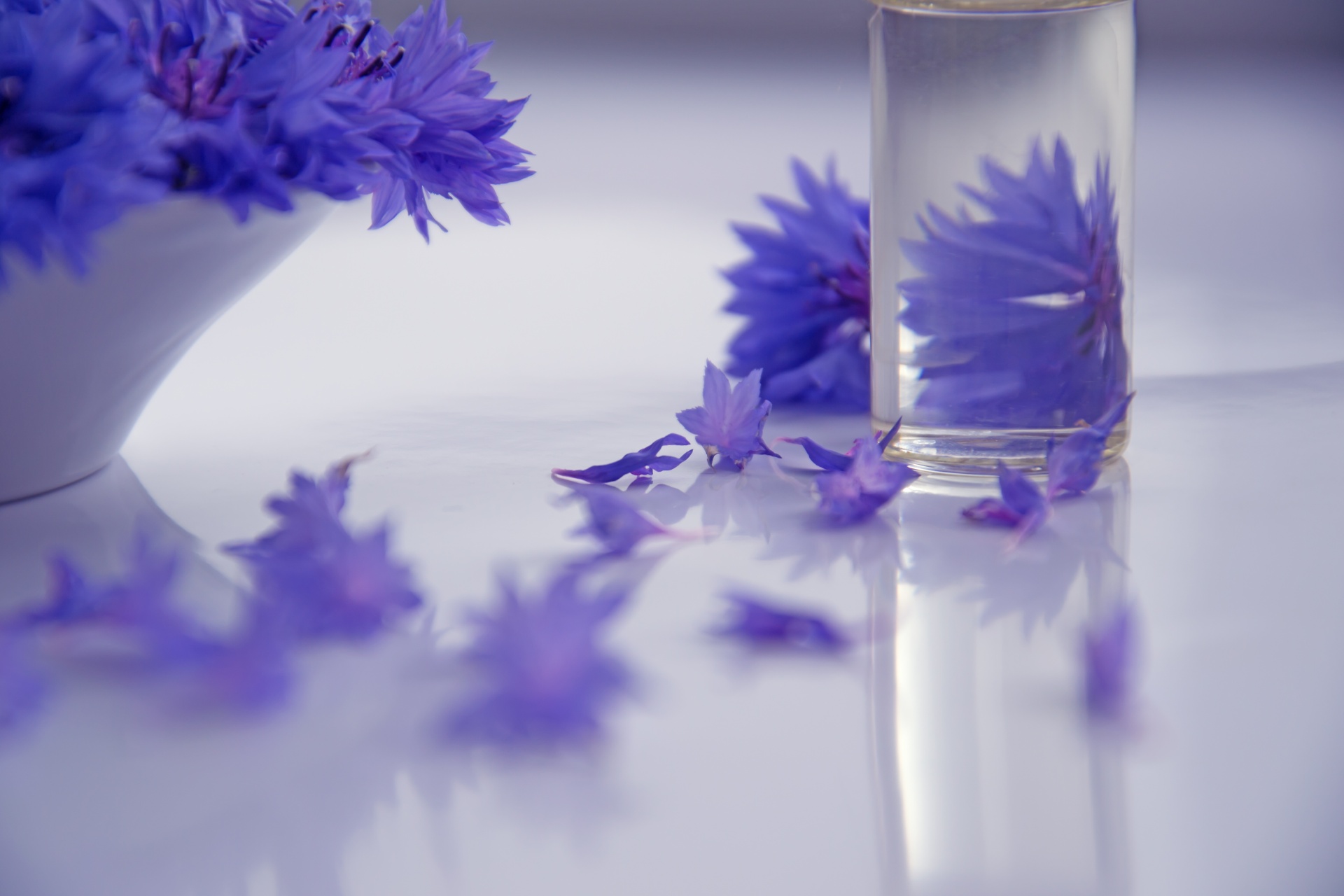 purple flowers aromatherapy blossom free photo