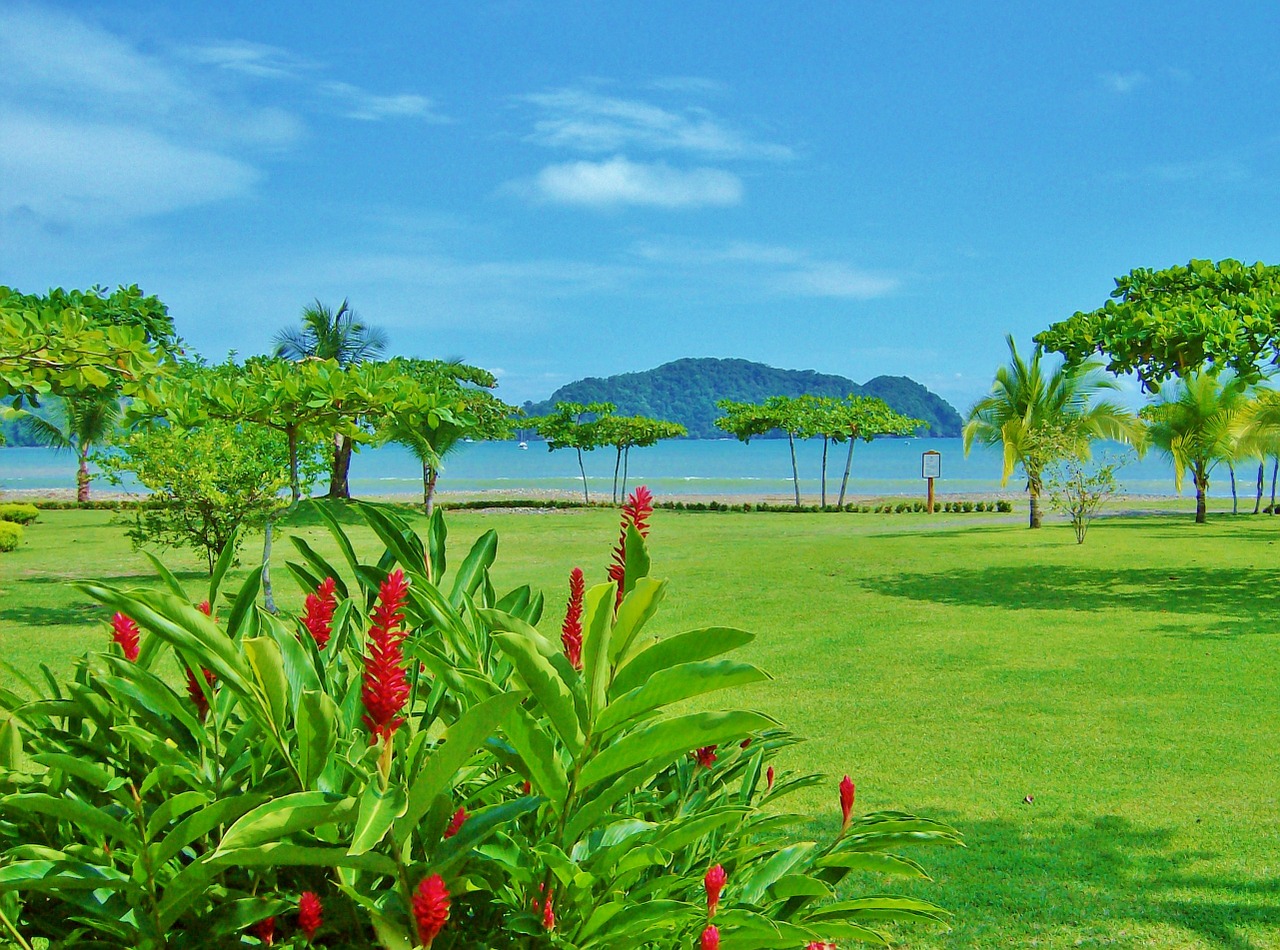 costa rica beach outdoor free photo