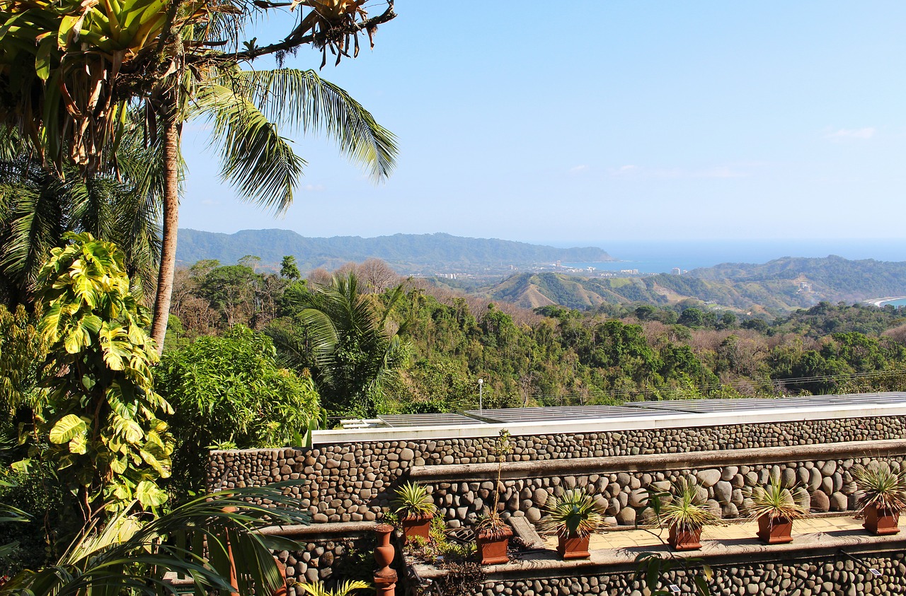 costa rica  tropical  jungle free photo