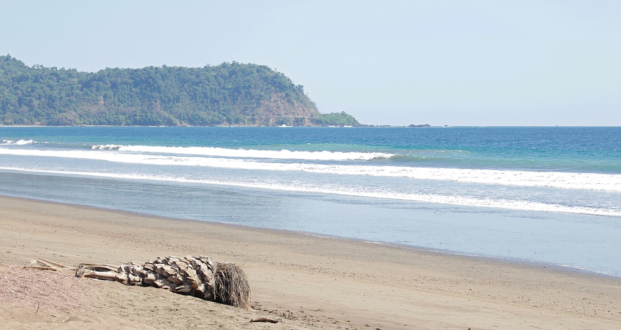 costa rica  tropical  jungle free photo