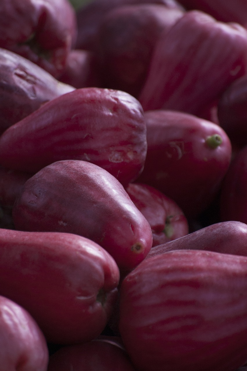 costa rica red fruit tropical free photo