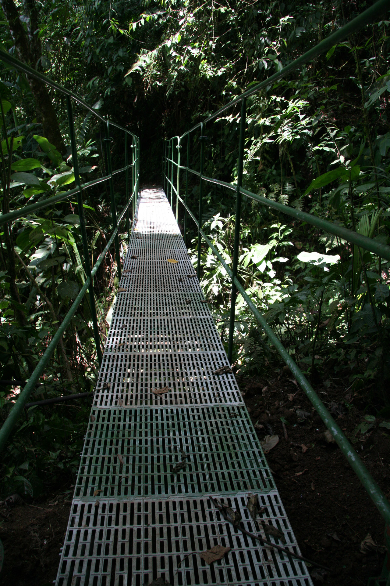 costa rica foot bridge free photo
