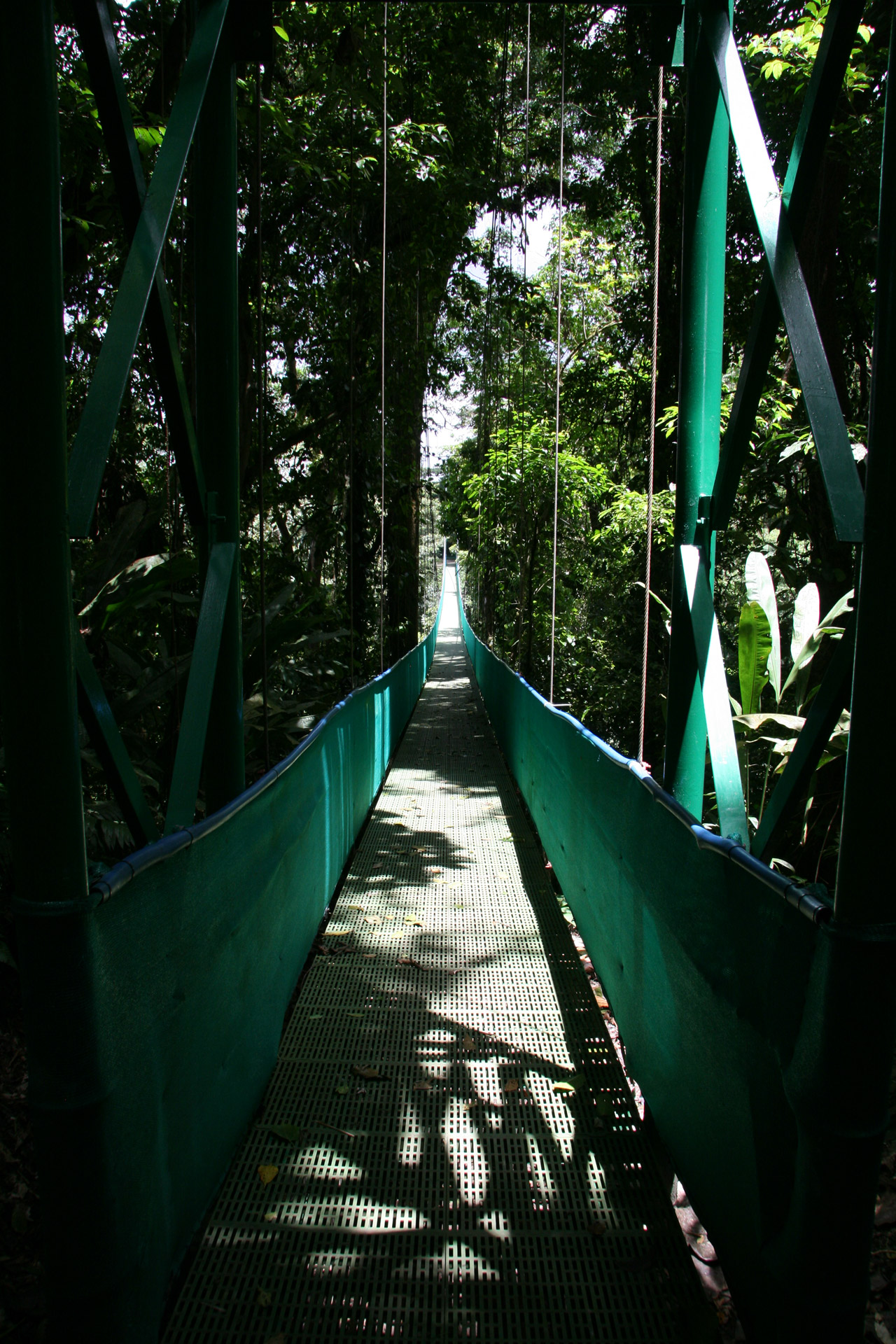 costa rica hanging bridge free photo