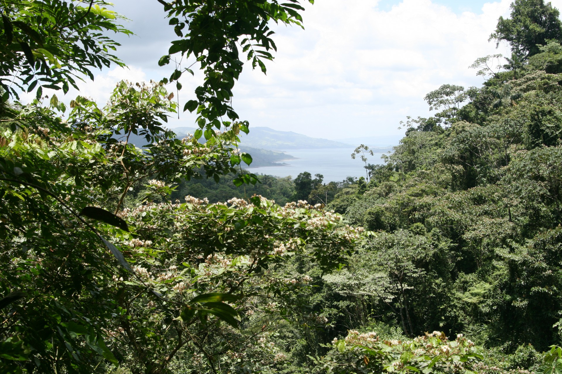 Тропические леса Коста Рики