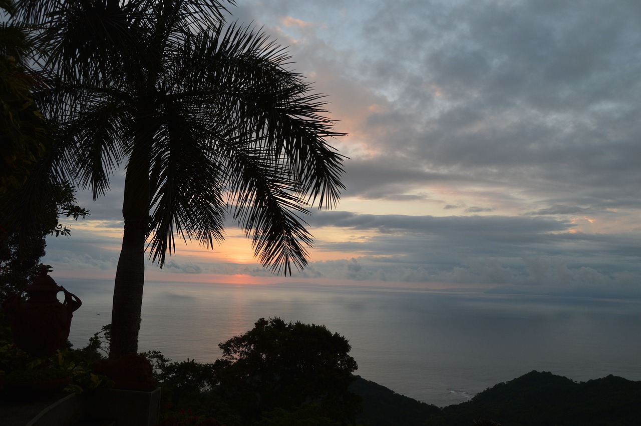 costa rica sunset beach palm trees free photo