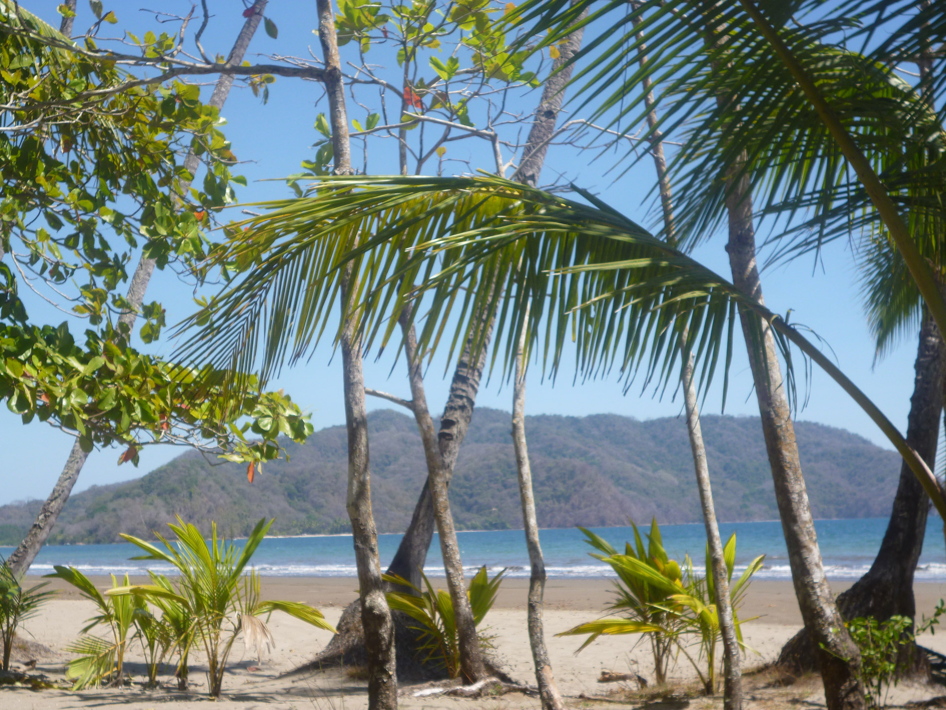 beach costa rica sun free photo