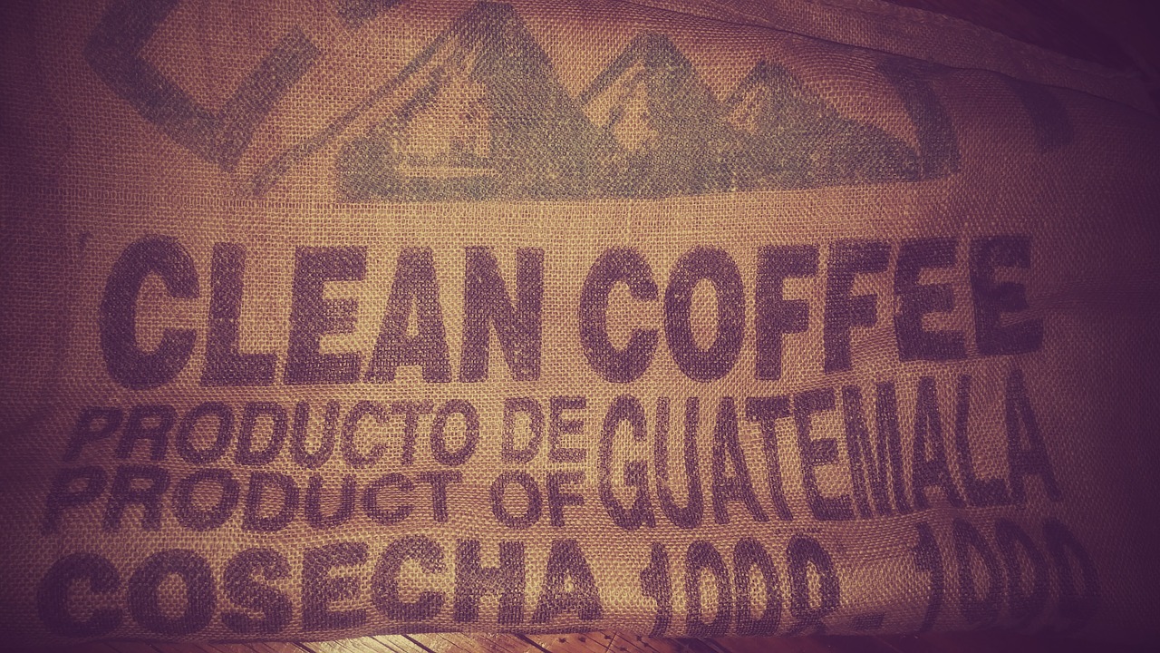 costal coffee guatemala free photo