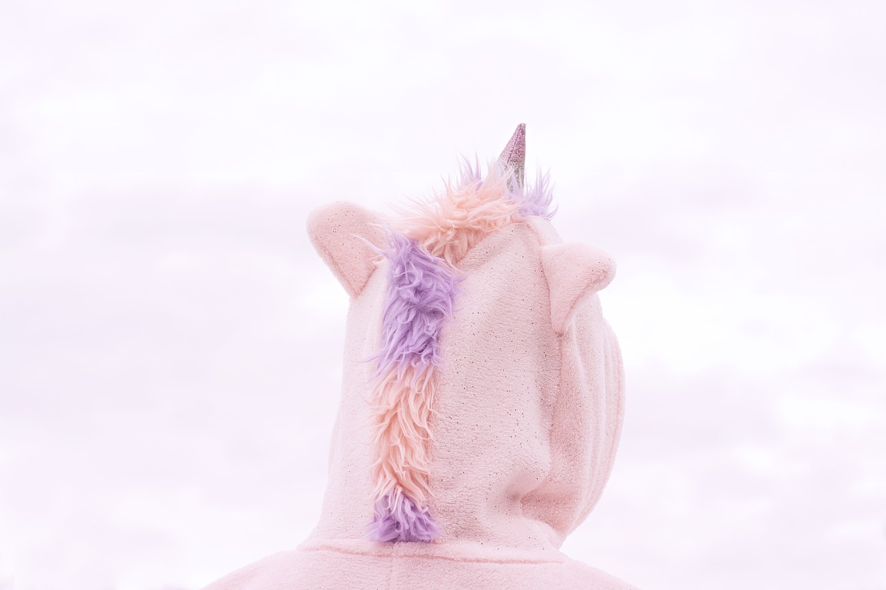 costume  unicorn  sky free photo