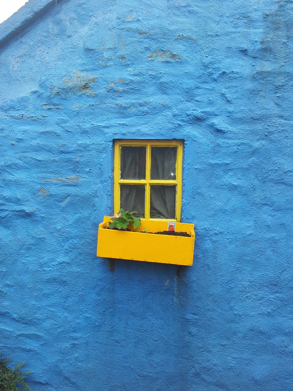 cottage window ireland free photo