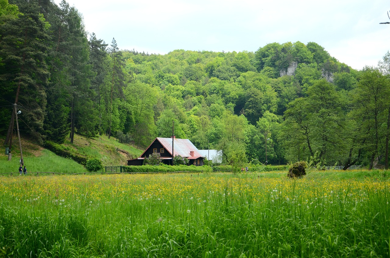 cottage forest meadow free photo