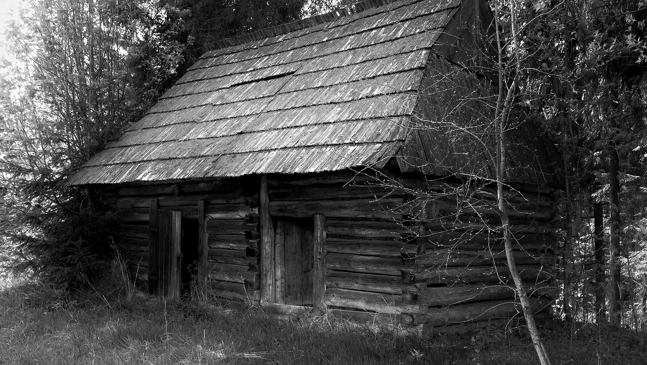 cottage hut wooden cottage free photo