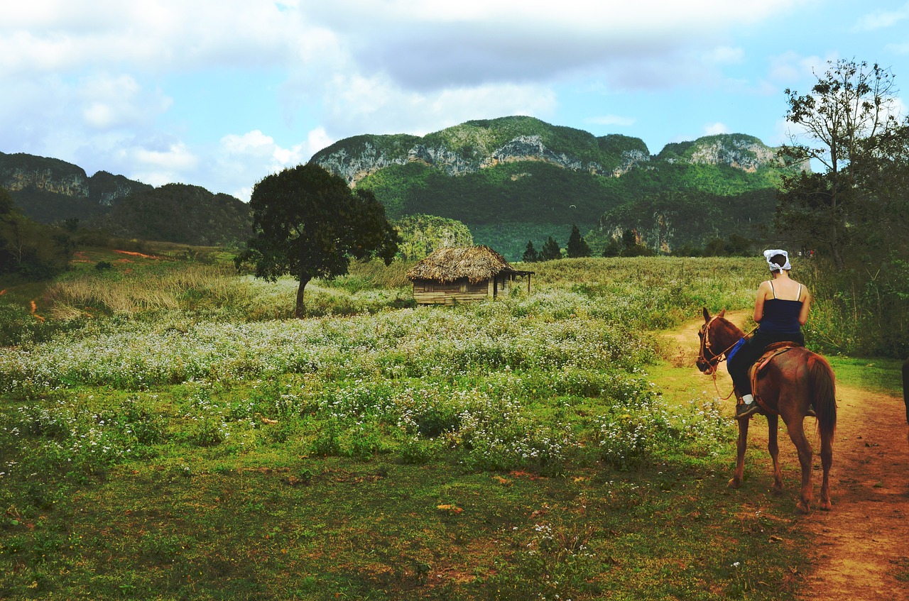 cottage countryside fields free photo