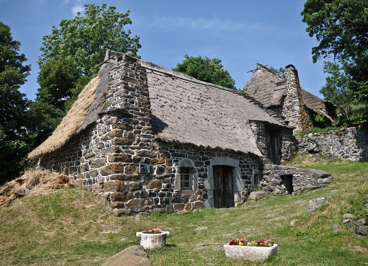 cottage house thatch free photo