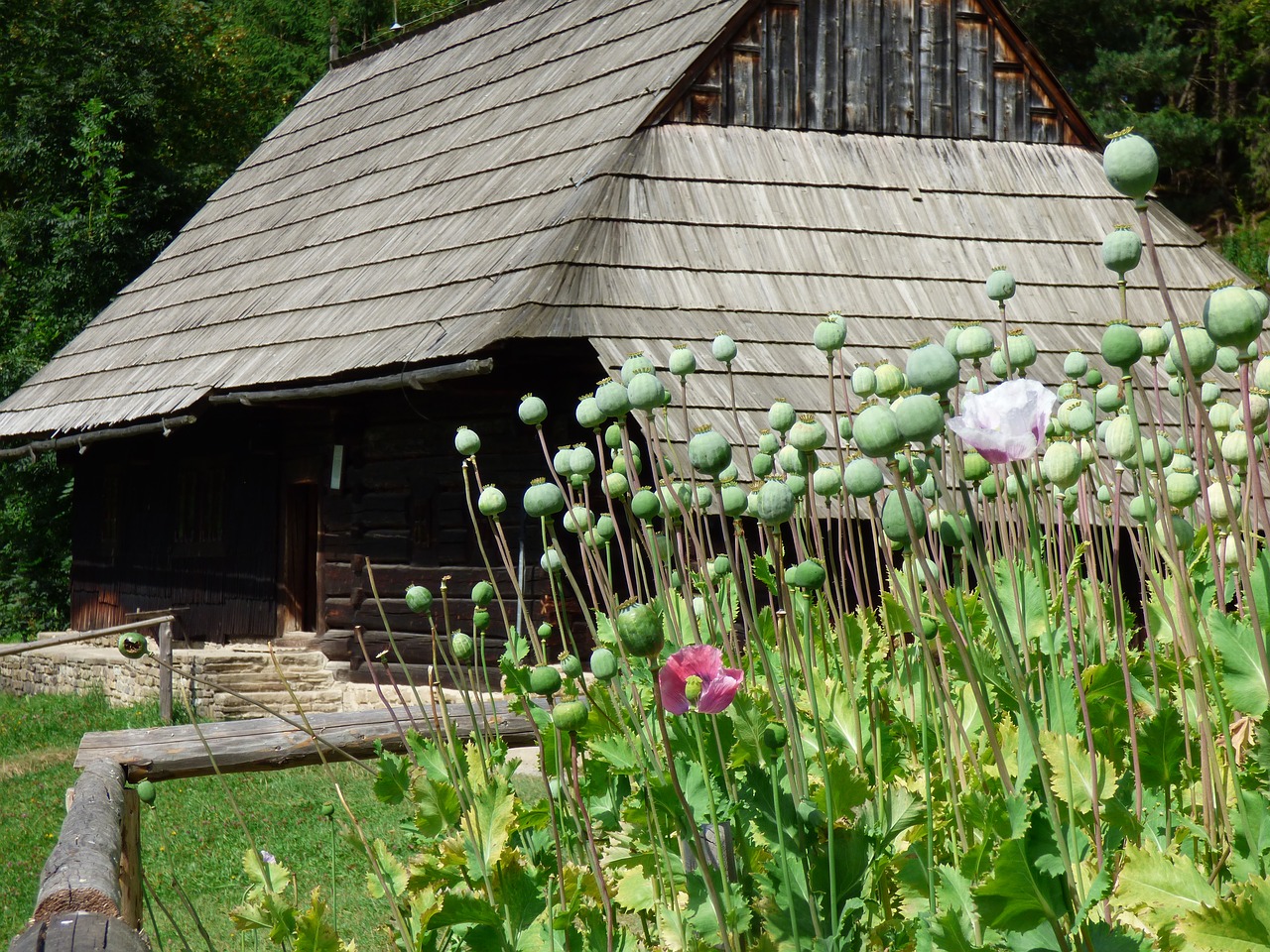 cottage slovakia summer free photo