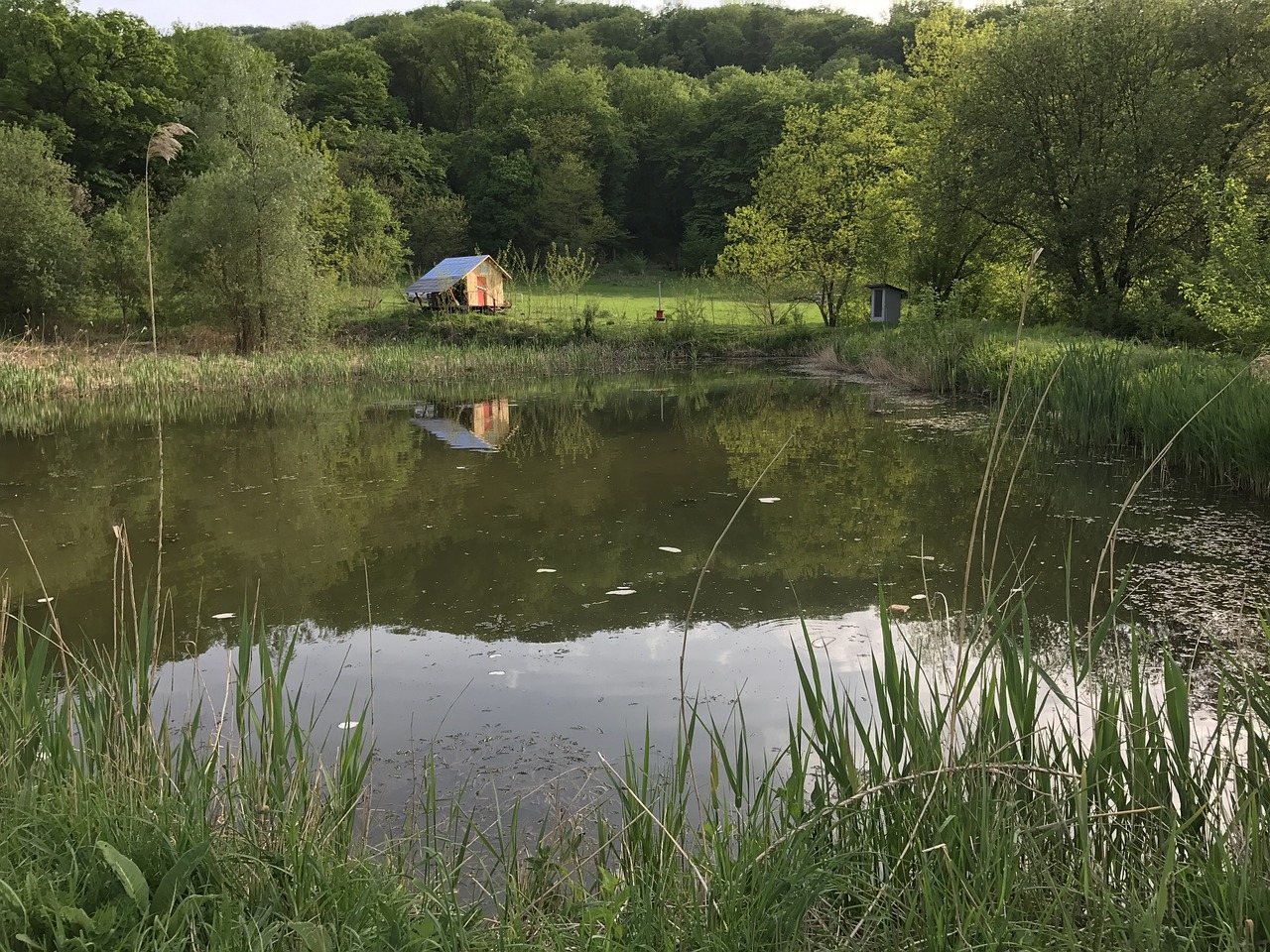 cottage box lake free photo