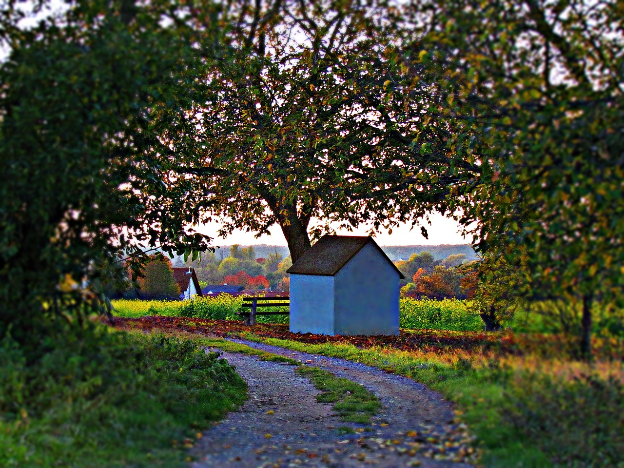 cottage chapel the path free photo