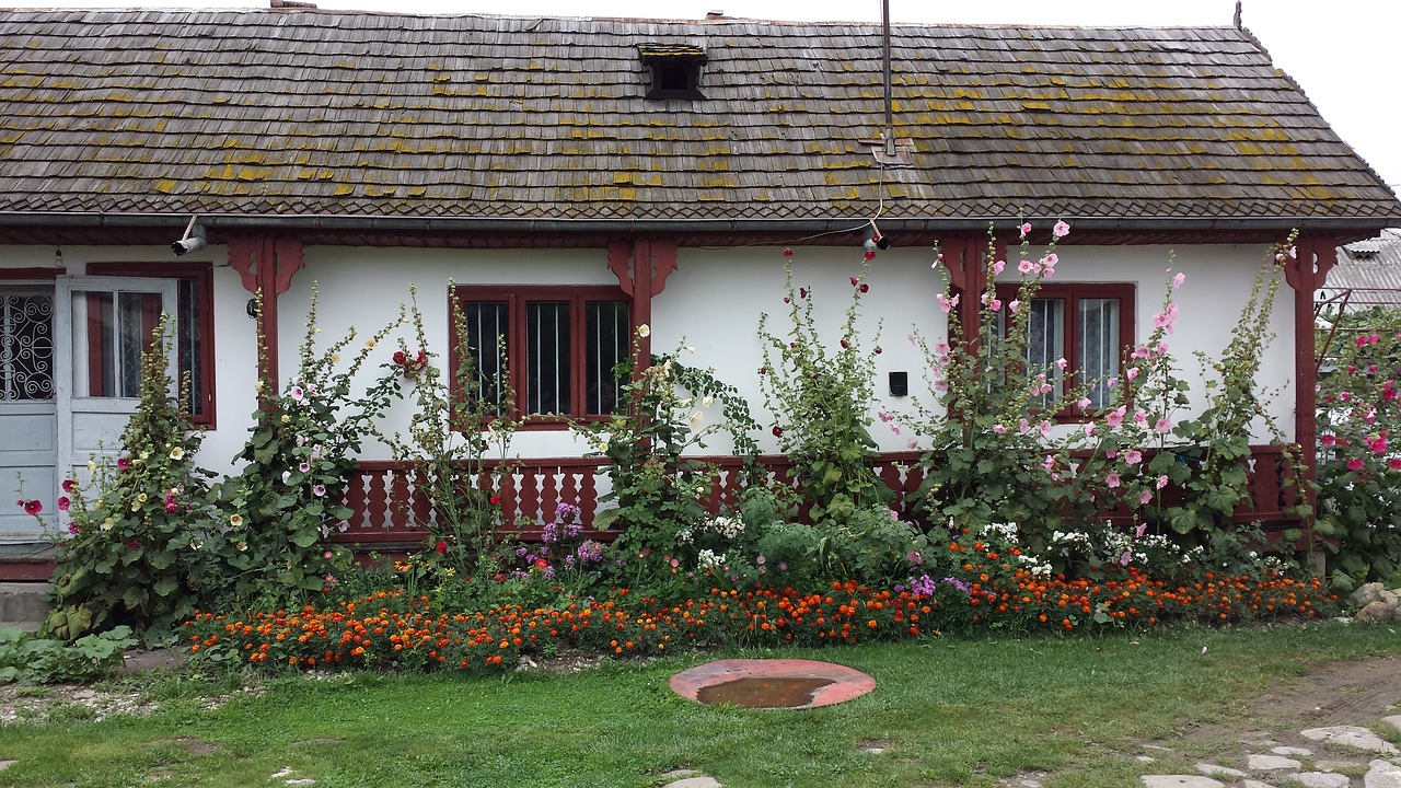 cottage garden romania free photo