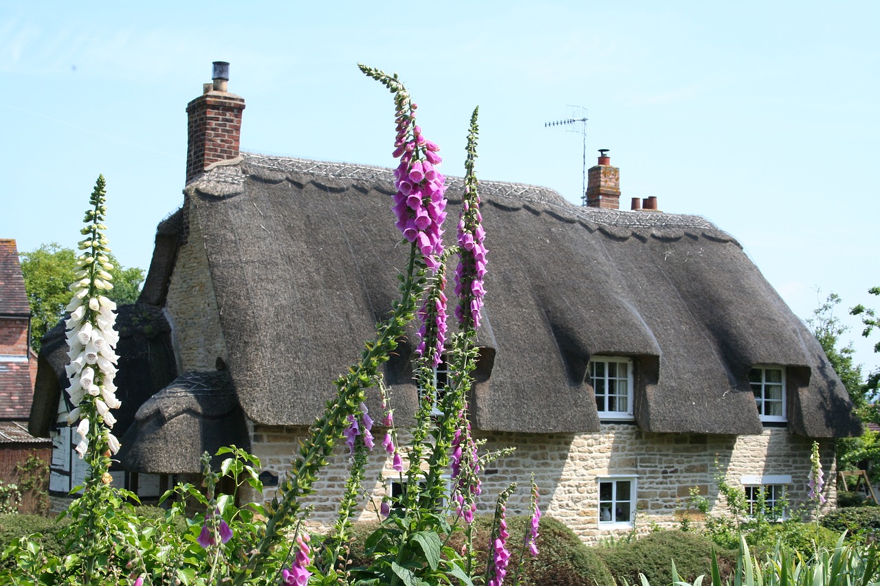 cottage thatch house free photo
