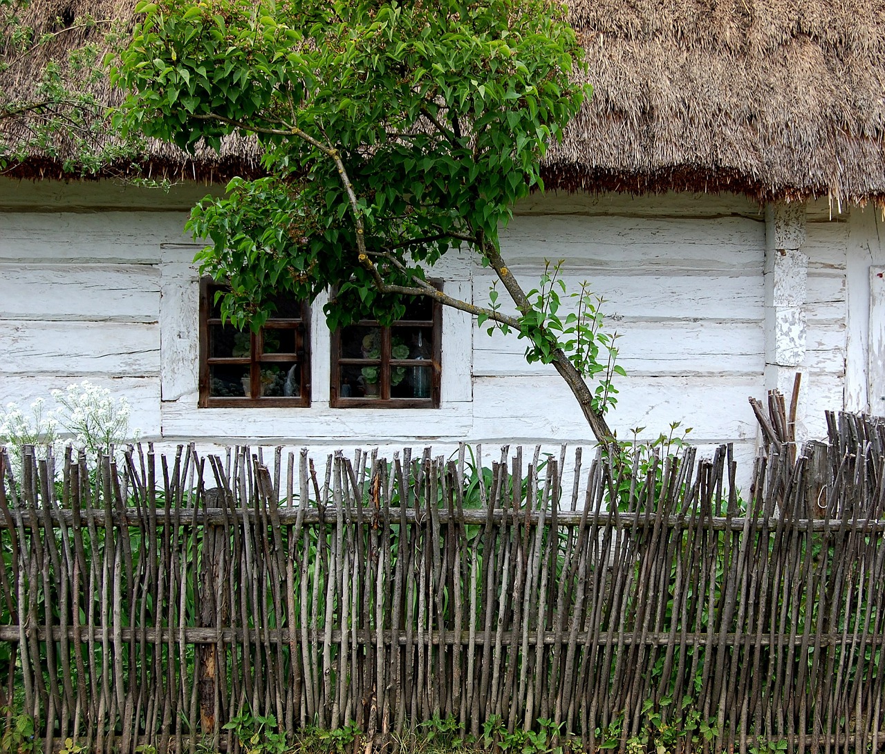 cottage old old house free photo