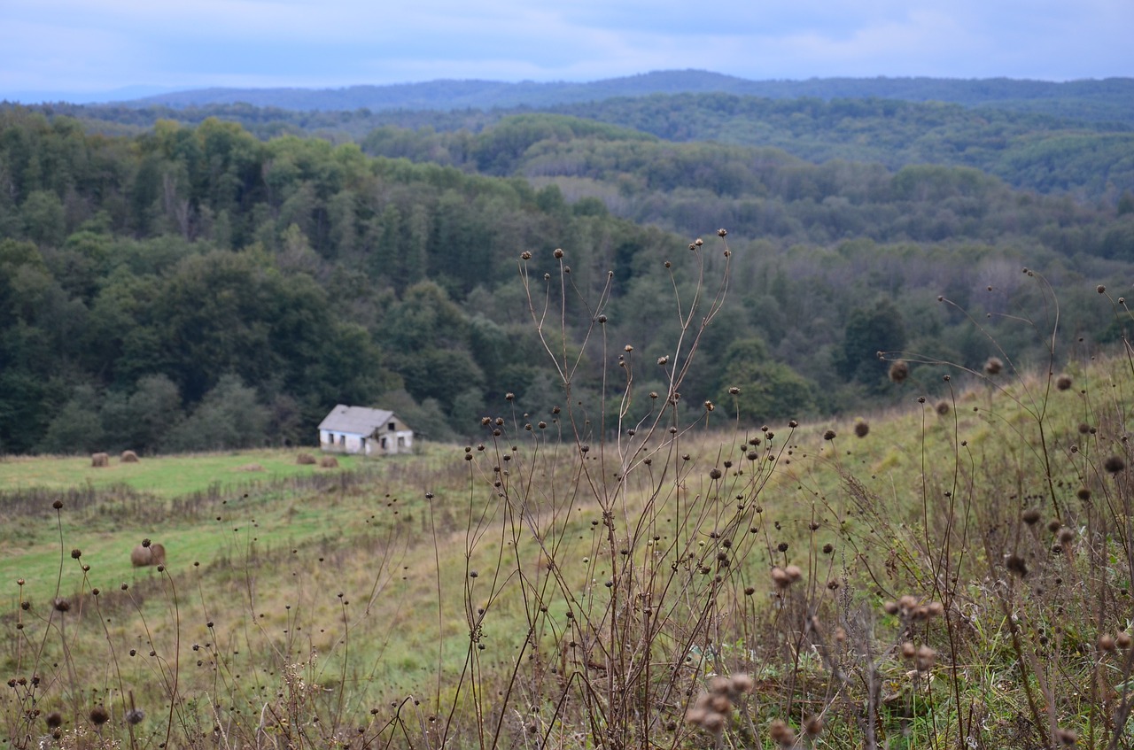 cottage house in the mountains mountains free photo