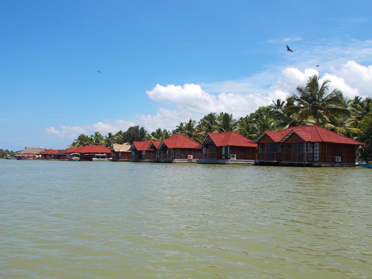 cottages backwaters river free photo