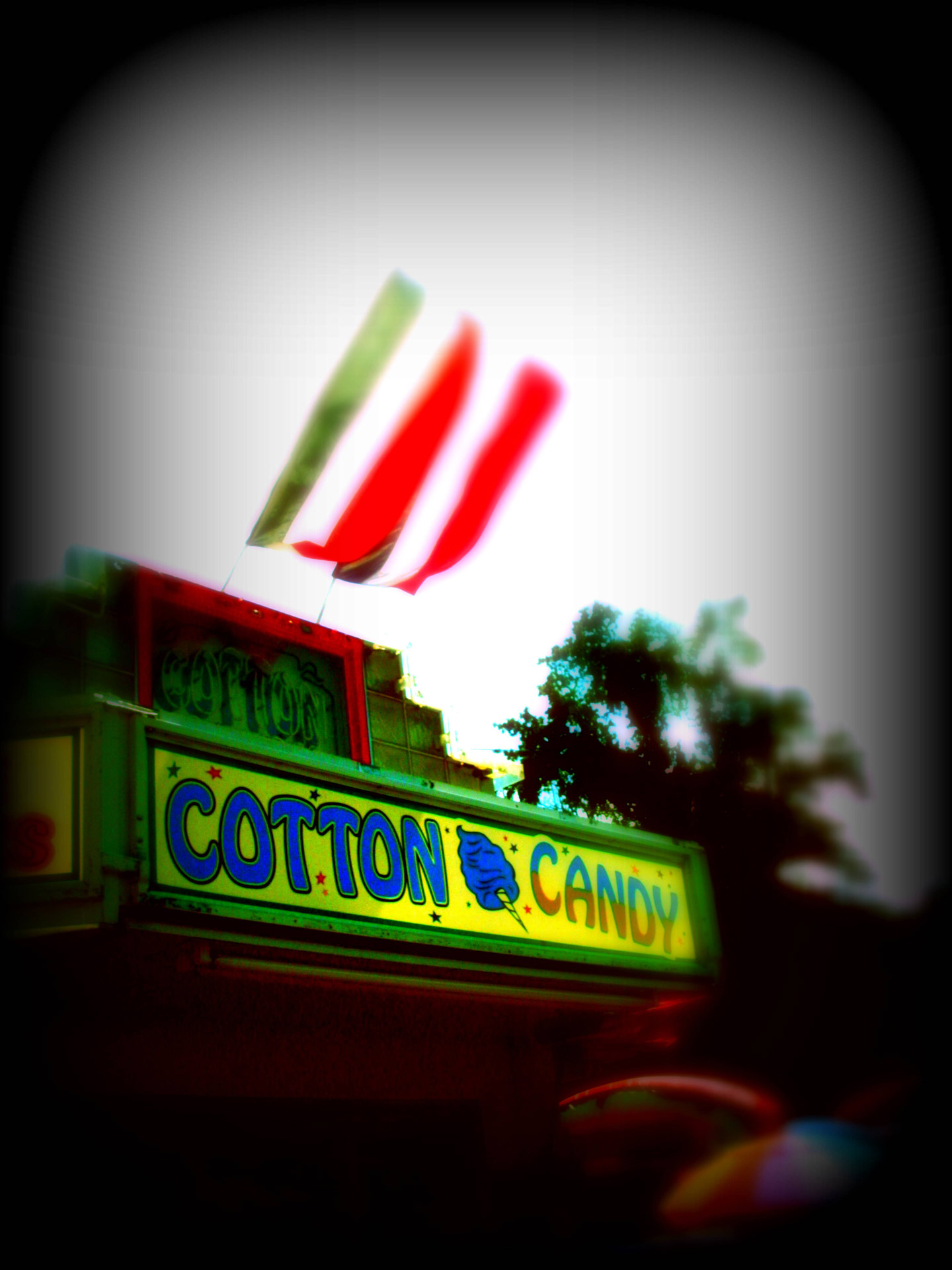 cotton candy carnival free photo