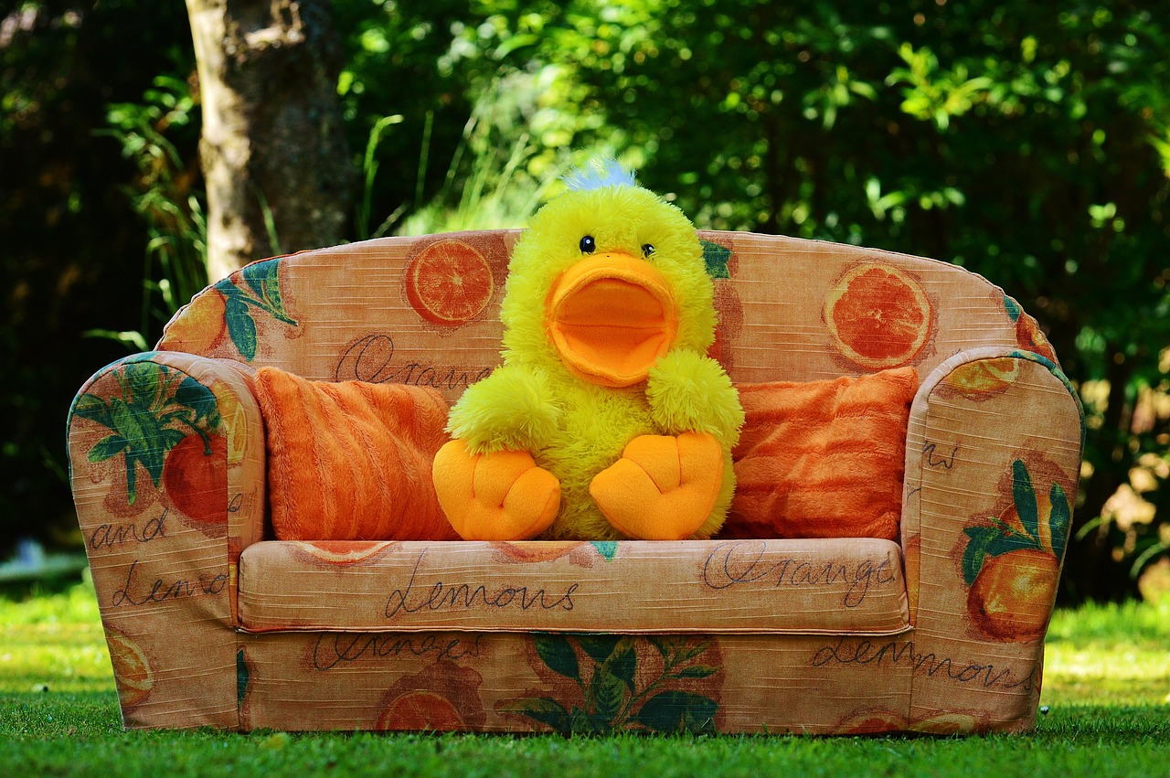 couch sofa duck free photo