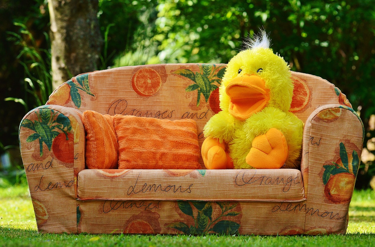 couch sofa duck free photo