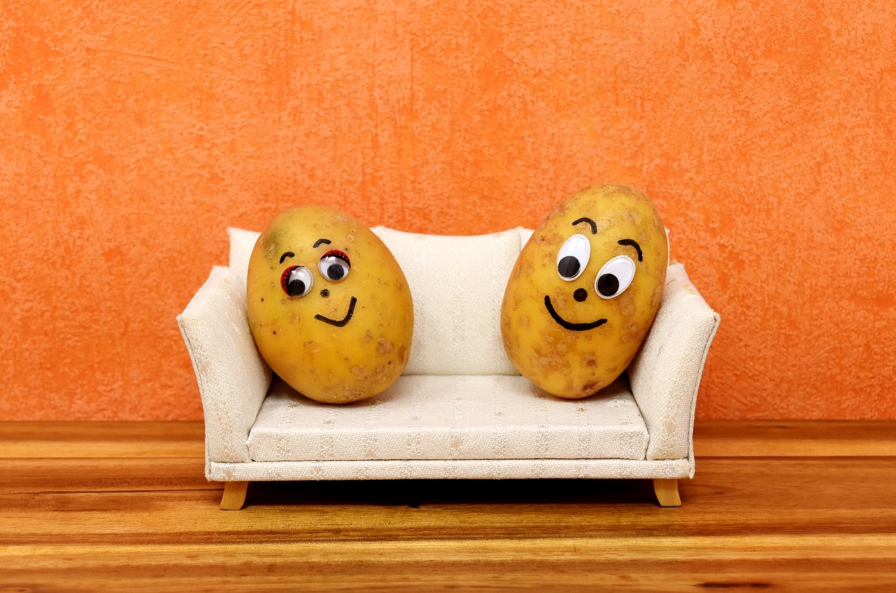 couch potatoes funny potatoes free photo